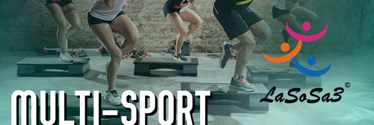 multi-sportminiature_.jpg