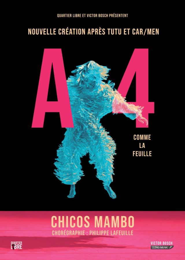 Affiche A4 (comme la feuille)