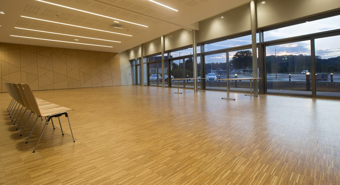 Salle Grenade Sur l'Adour