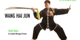 Stage TaiChi Sabre